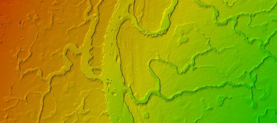 Digital elevation model of a wetland