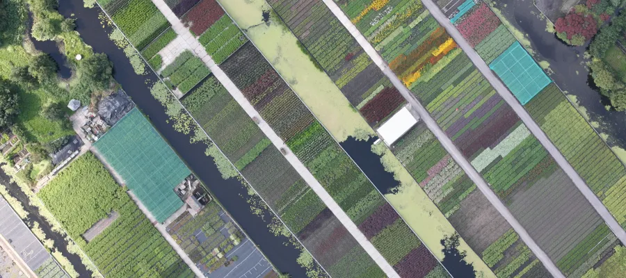 patchwork of fields in the netherlands from Dimona camera.