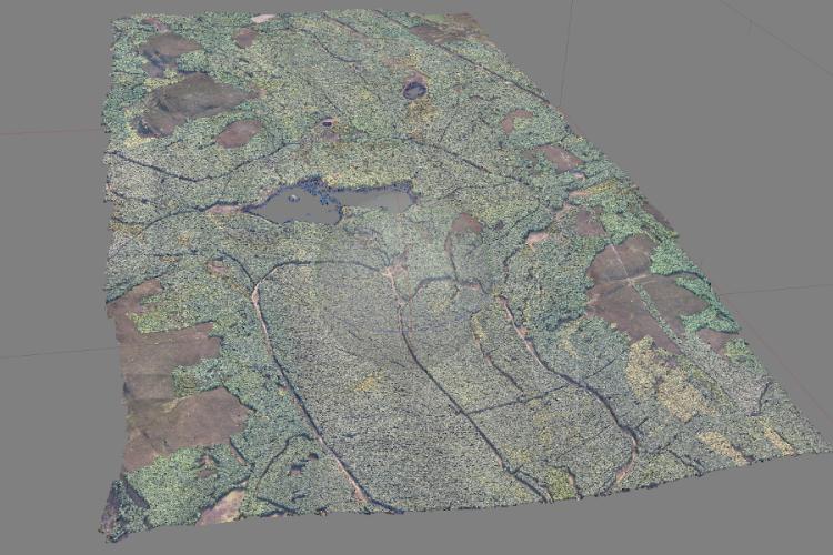 Griffin Forest, Scotland, in 3D from aerial photography (ECO-Dimona)